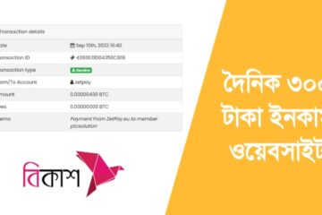 দৈনিক ৩০০ টাকা ইনকাম