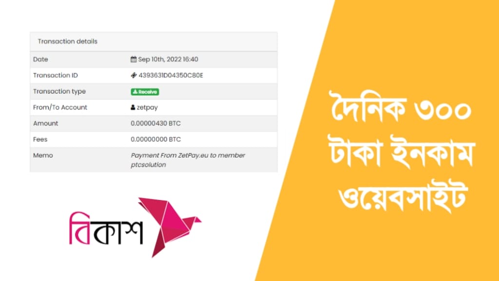 দৈনিক ৩০০ টাকা ইনকাম