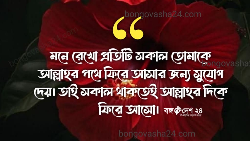শুভ সকাল স্ট্যাটাস